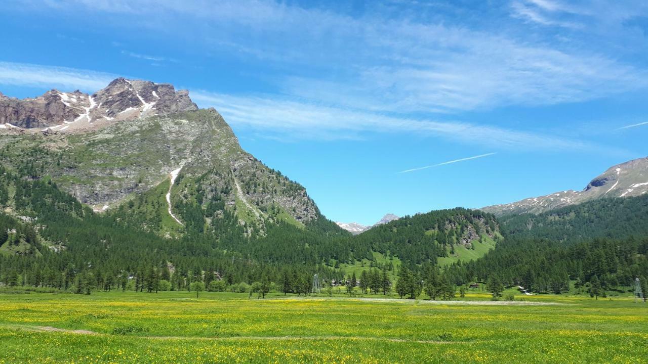 La Piana Appartamenti Alpe Devero Zewnętrze zdjęcie
