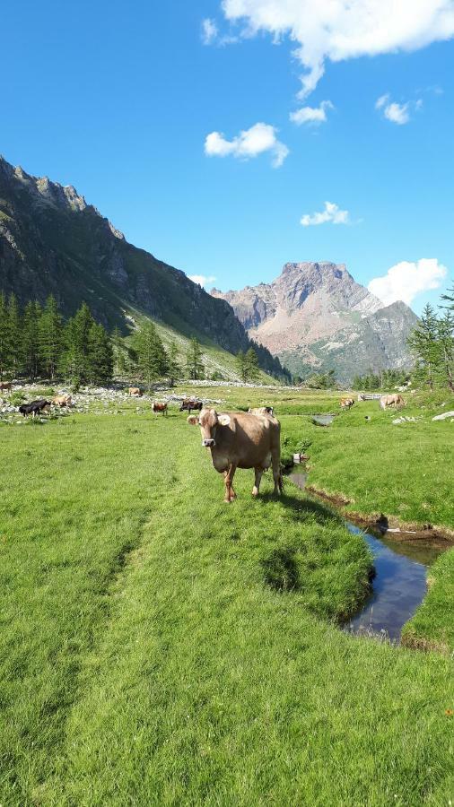 La Piana Appartamenti Alpe Devero Zewnętrze zdjęcie